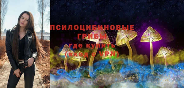 прущая мука Михайлов