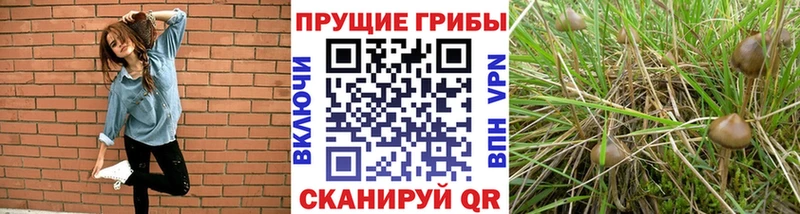 Псилоцибиновые грибы ЛСД  Конаково 