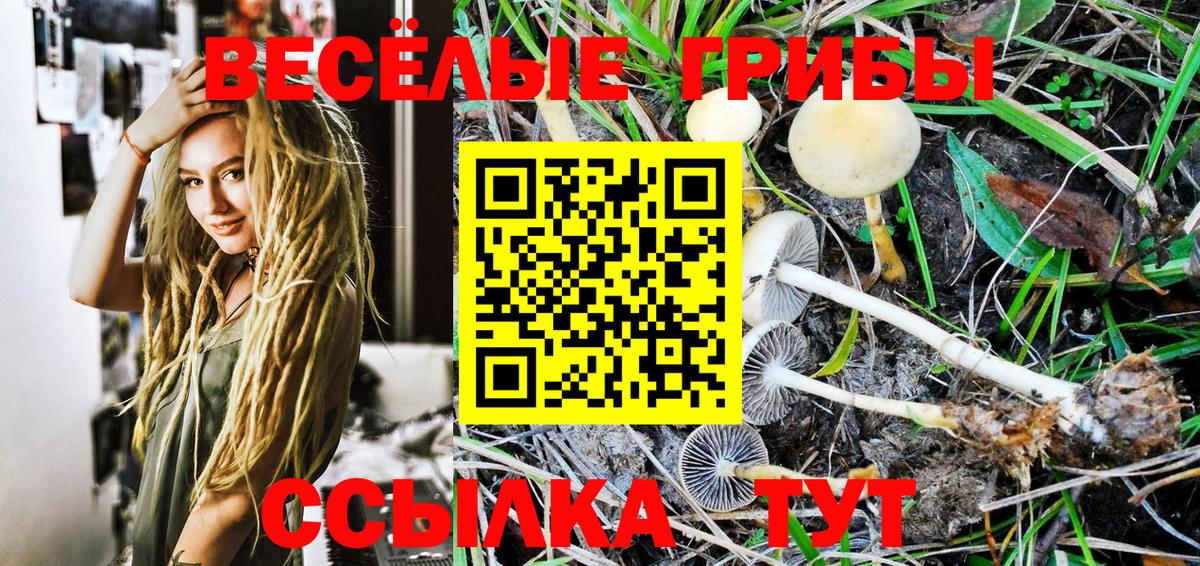 Псилоцибиновые грибы мухоморы Конаково