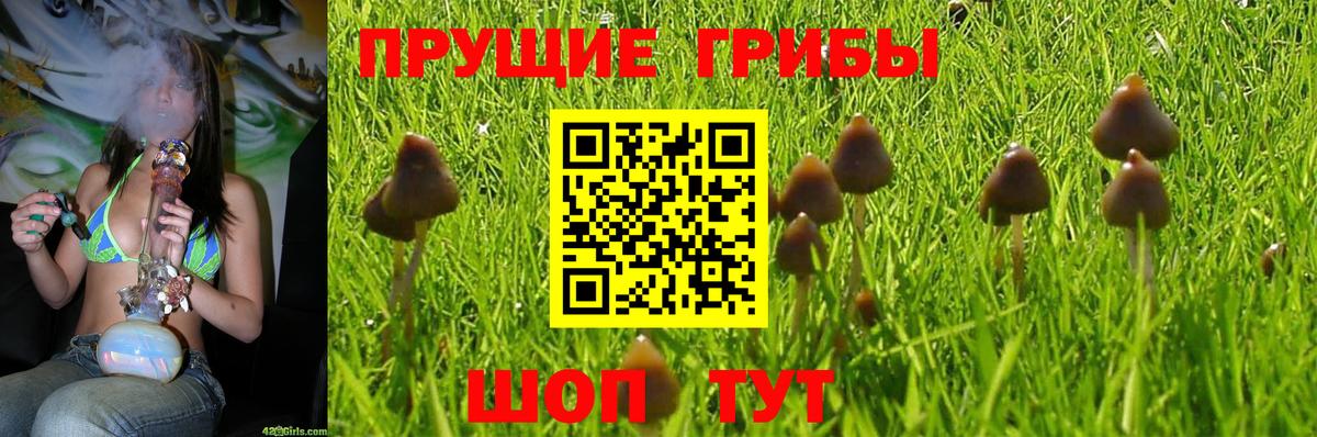 Конаково  Псилоцибиновые грибы ЛСД  Вход с VPN 