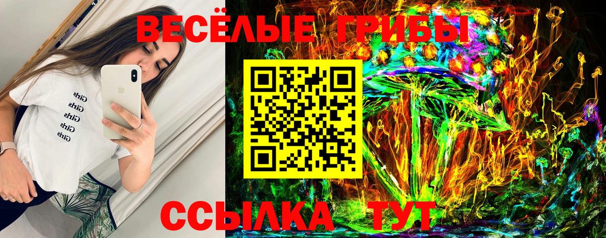 Псилоцибиновые грибы Psilocybine cubensis  Конаково 