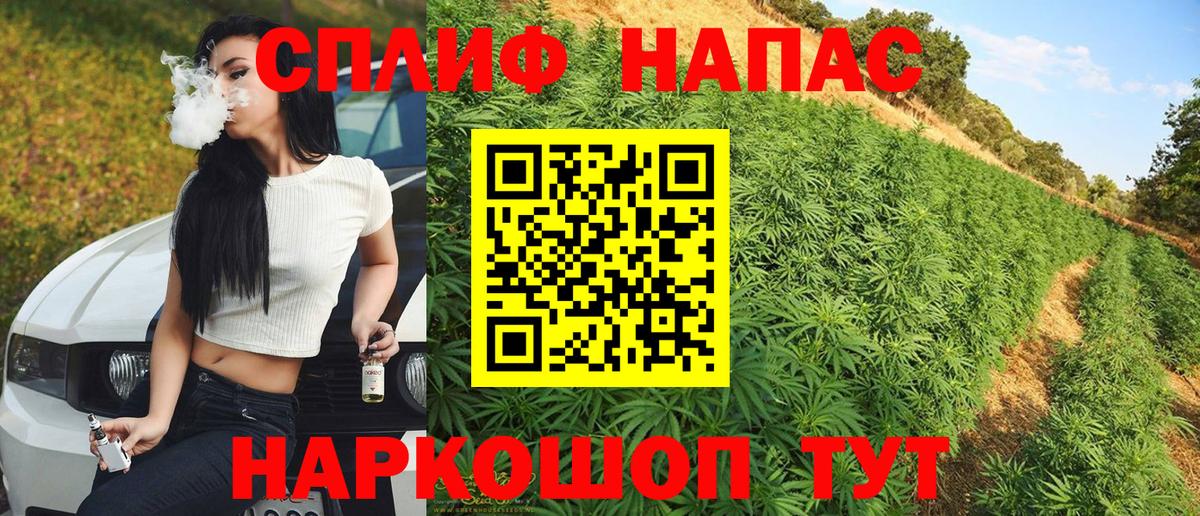 МАРИХУАНА сатива  Вход с VPN  Бошки марихуана VHQ  Конаково  Канабис семена  Шишки марихуана индика 